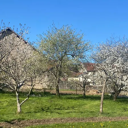 Chez Odette Apartment Le Val-d'Esnoms